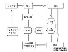 东巴村发展非汉字以促进