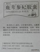 北京世讯网络技术有限公