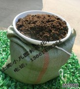 “早上好，早上好！”您